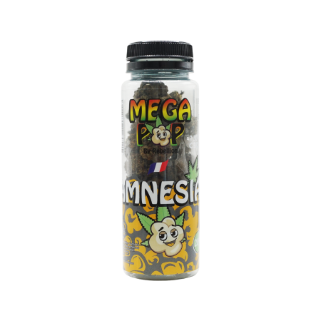 Pot Mega Pop Amnesia 20 g - Rebellion CBD