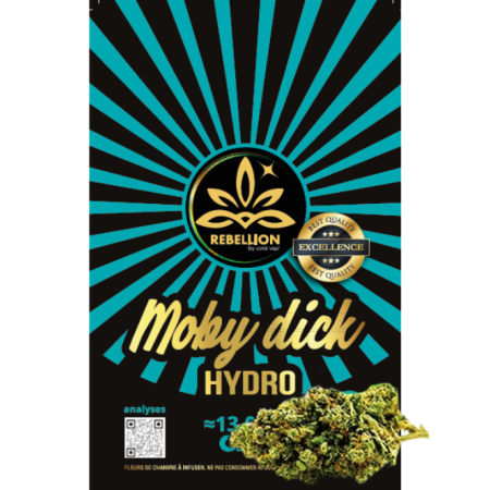 Rebellion  cbd - Mobidick