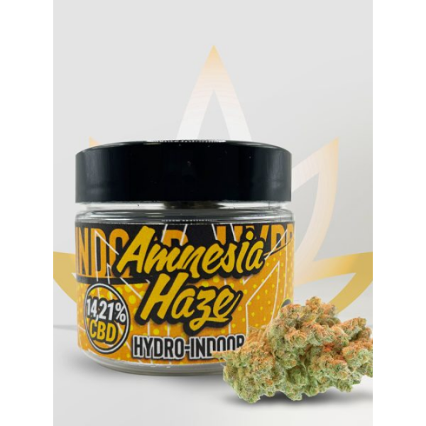 First CBD Pots Amnesia Haze Hydro