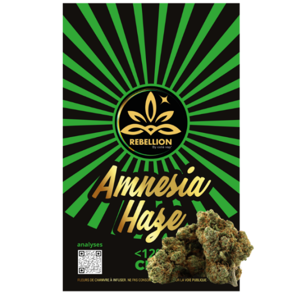 Rebellion Amnesia Haze
