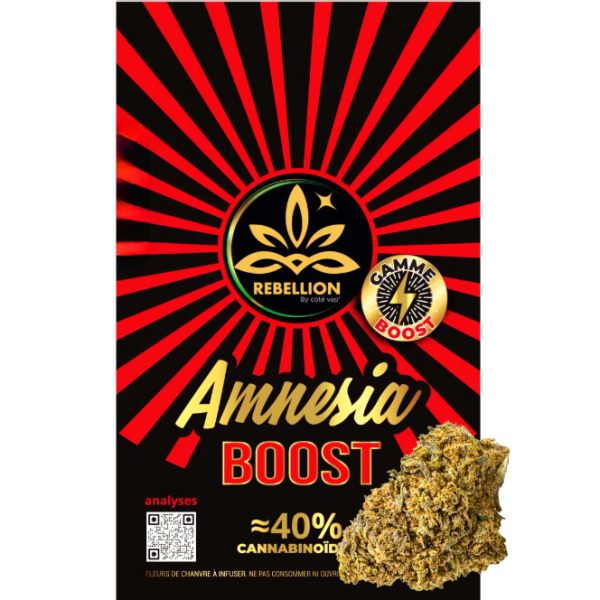Rebellion CBD - Amnesia Boost