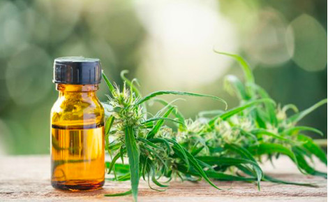 Le CBD et ses effets sur la douleur chronique